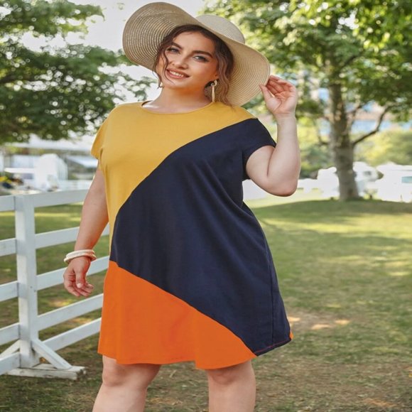 NEW Plus Size Colorblock Dress - Picture 1 of 3